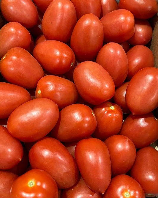 Tomato Roma