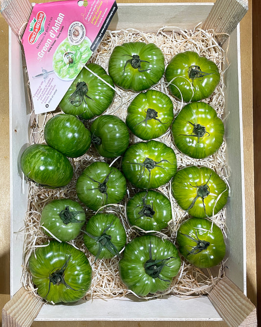 Tomato Zebra Yellow Green