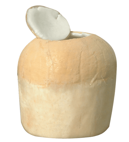Coconut Top Off