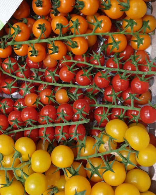 Tomato Cherry On Vine Mix (Red / Yellow / Orange)