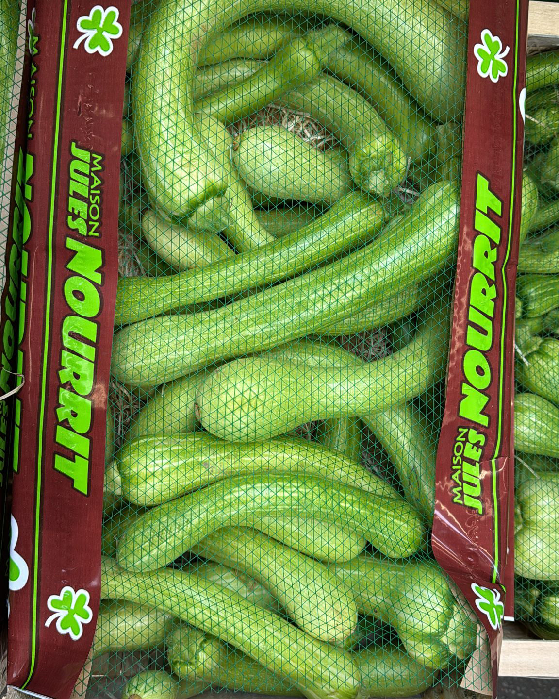 Trumpet Zucchini