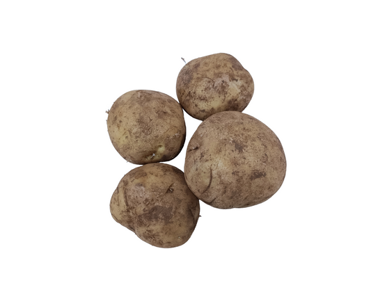 Potato Sebago