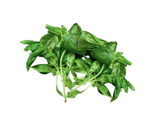 Herb Basil