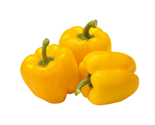Capsicum Yellow