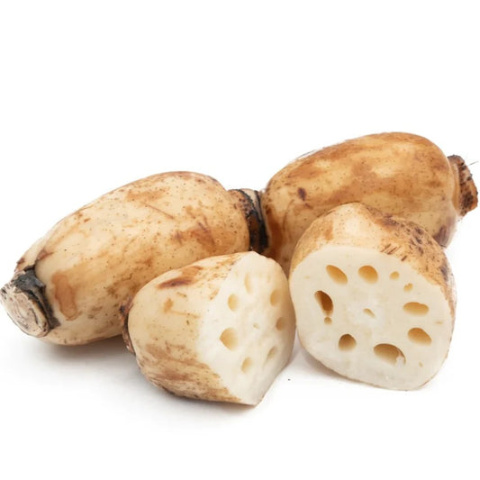 Lotus Root