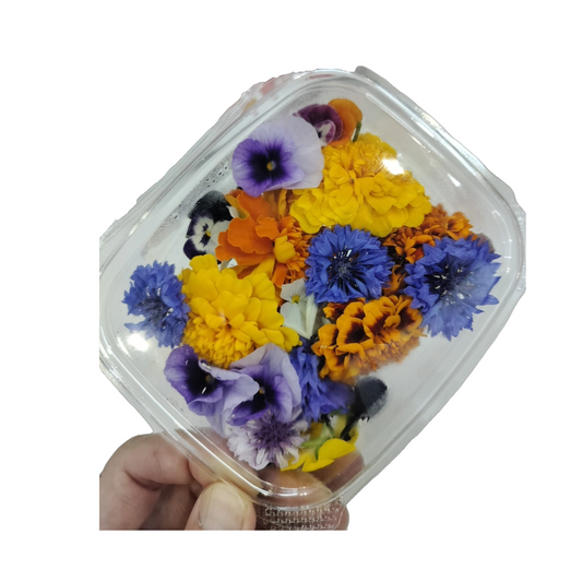 Edible Flowers Mix bloom