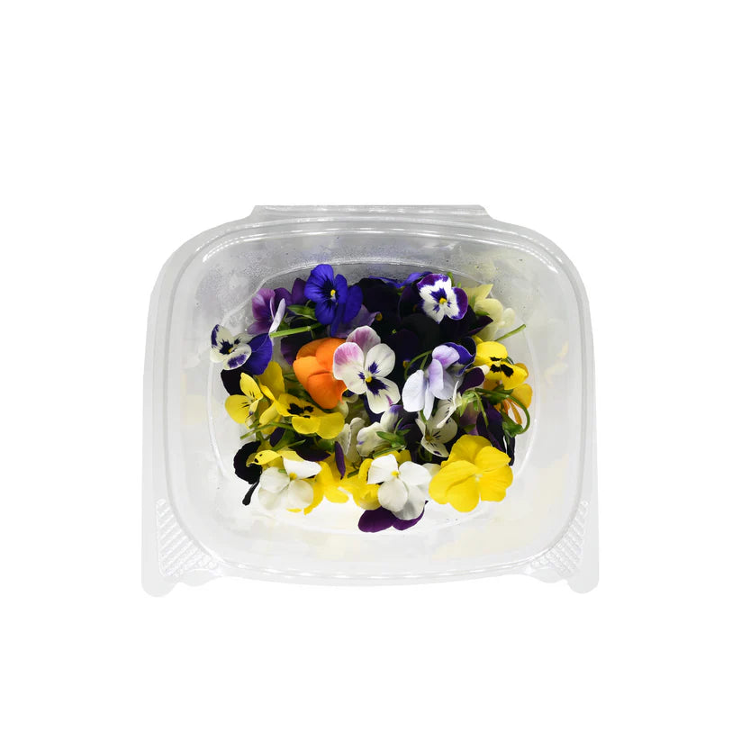 Edible Flowers - Viola