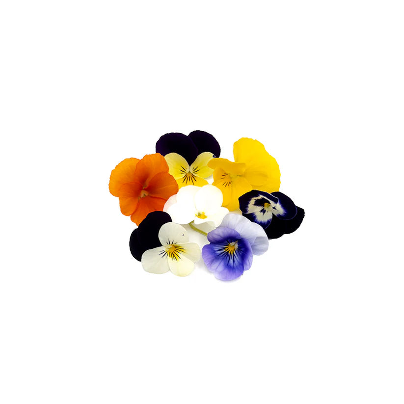 Edible Flowers - Viola