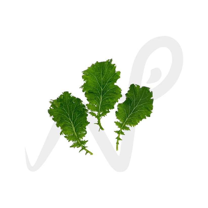 Herbs - Wasabina (Small) (Nosh)