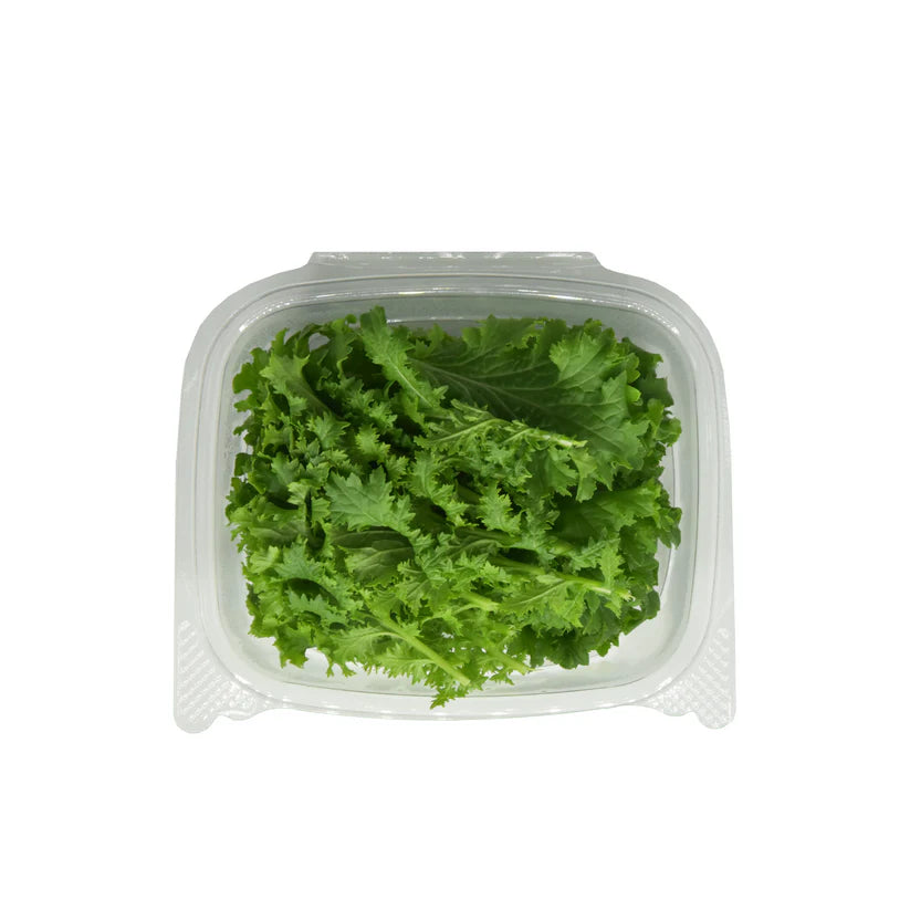 Herbs - Wasabina (Small) (Nosh)