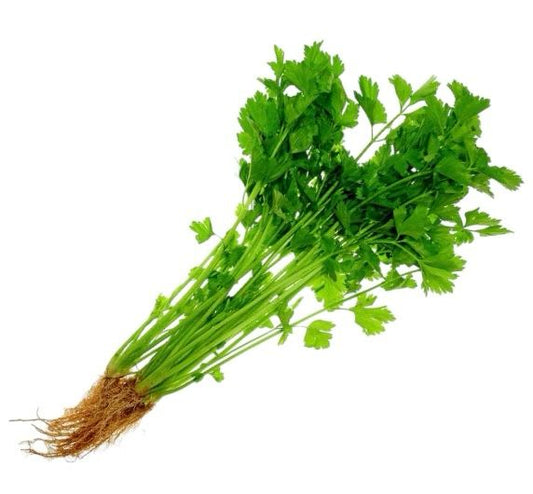 Celery Chinese