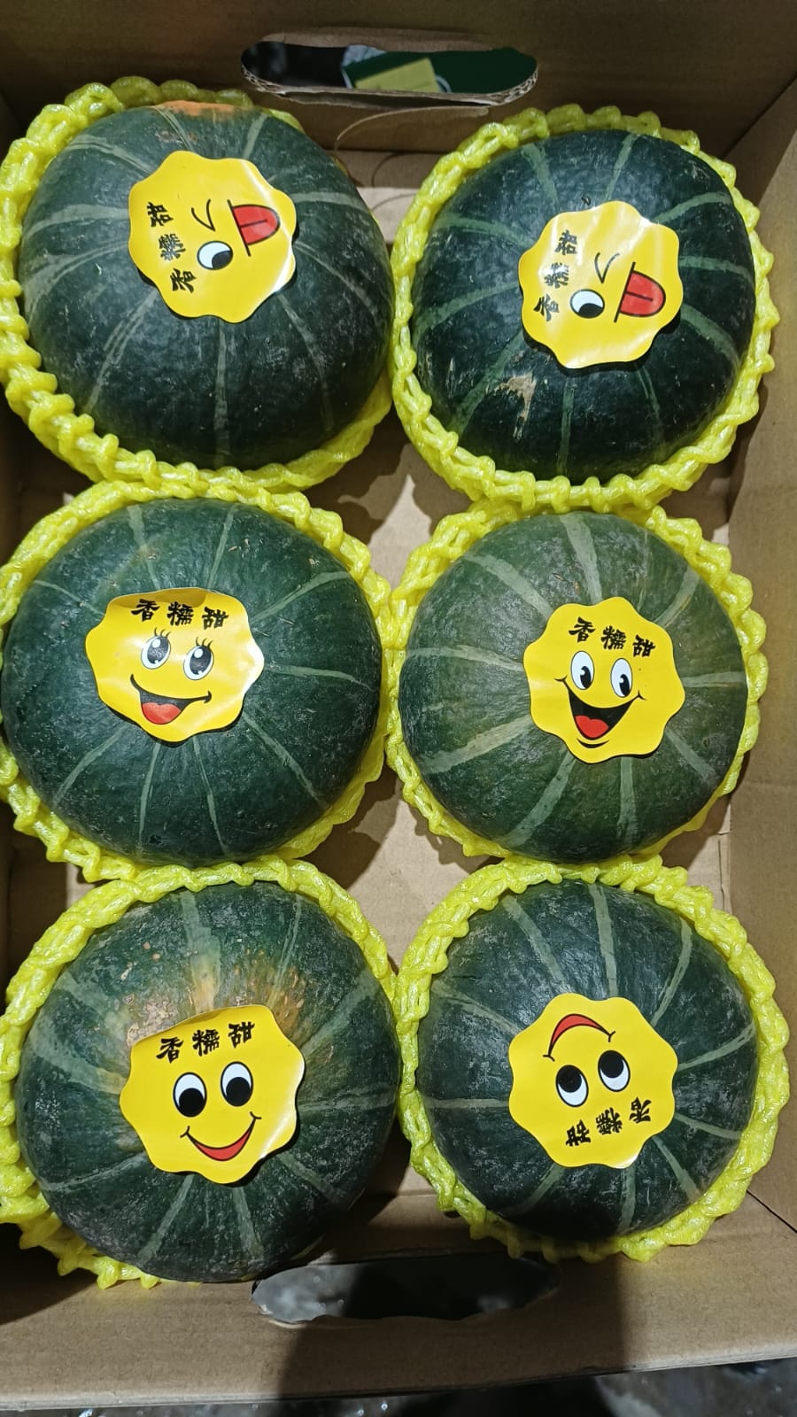 Pumpkin Japanese Mini - 6pcs/ctn