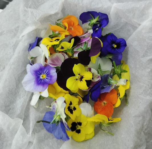 Edible Flower Viola
