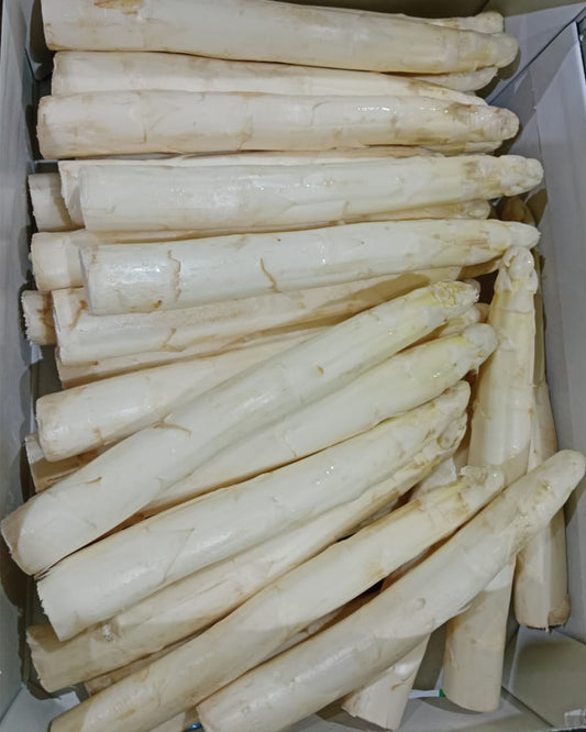 Asparagus White AAA Holland