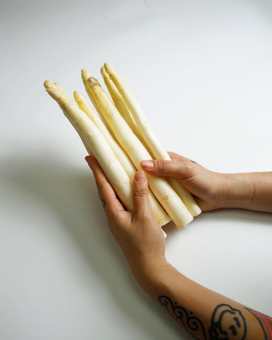 Asparagus White AA Holland