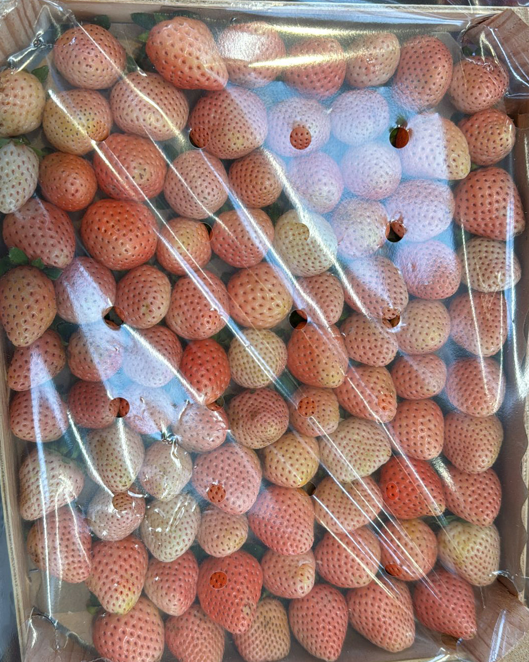 White Strawberry Europe 1kg