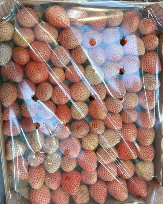 White Strawberry Europe 1kg