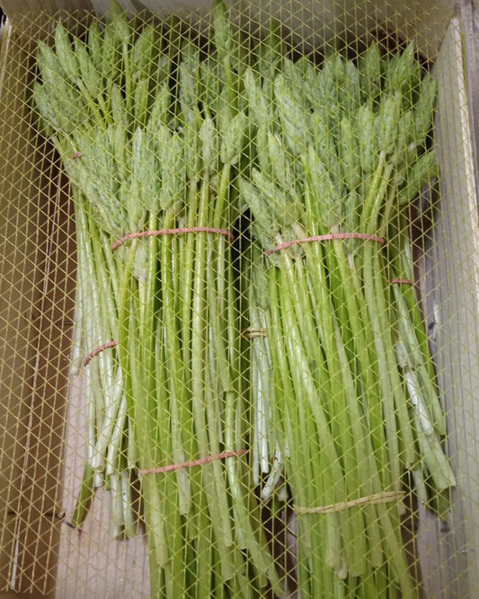 Wild Asparagus