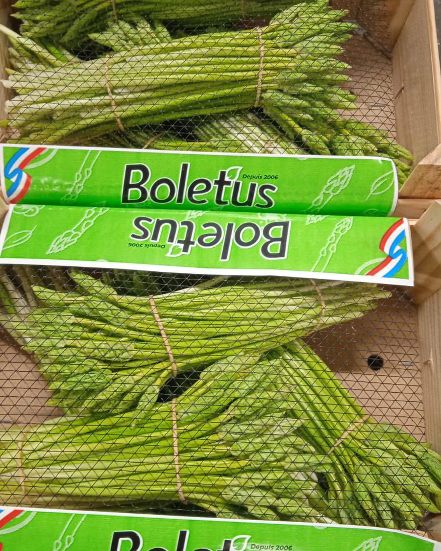 Wild Asparagus