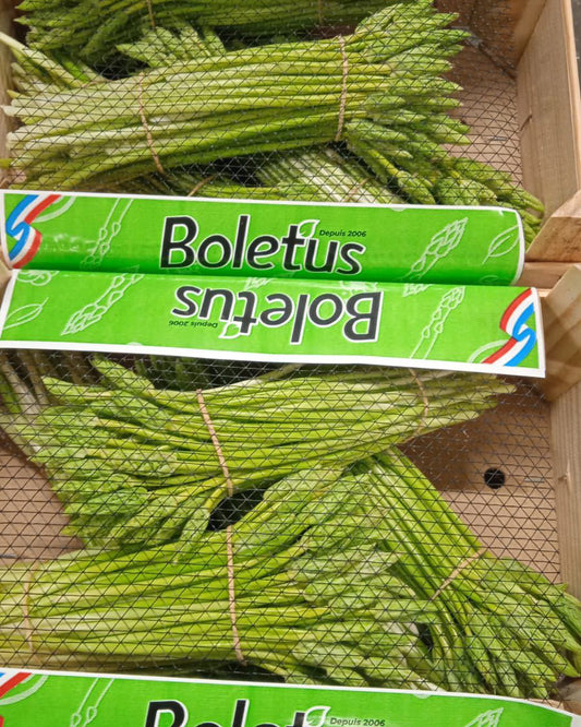 Wild Asparagus