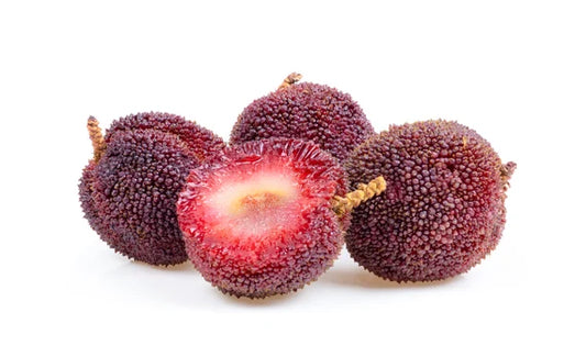 Yangmei (Chinese Bayberry)