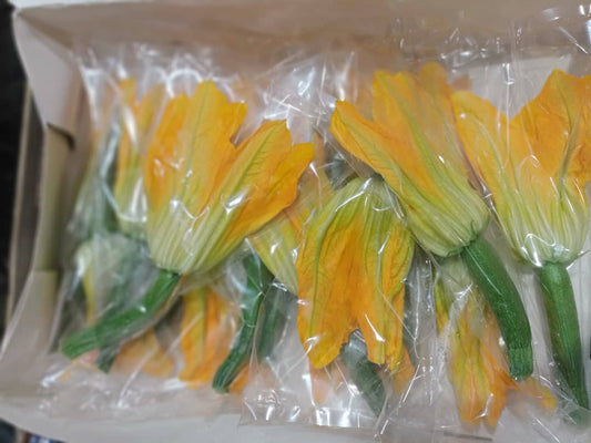 Zucchini Flower (Holland)