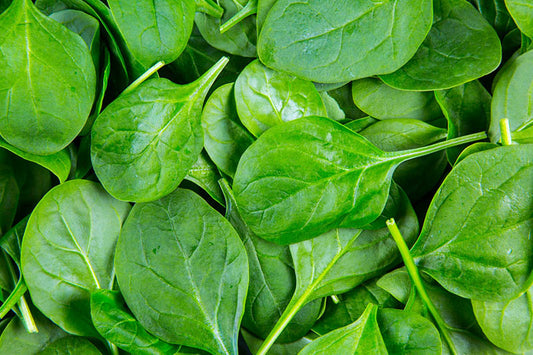 Baby Spinach (Aust / USA)