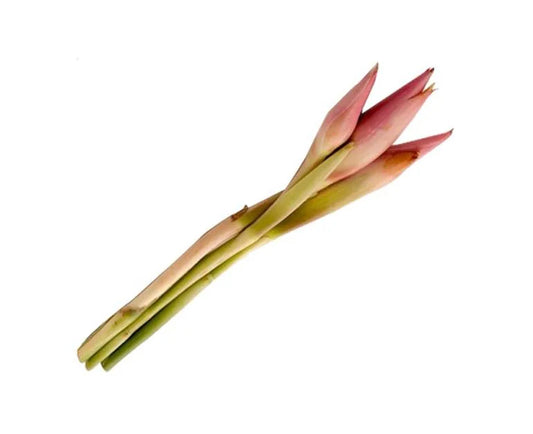 Rojak Flower / Ginger Flower / Torch Flower