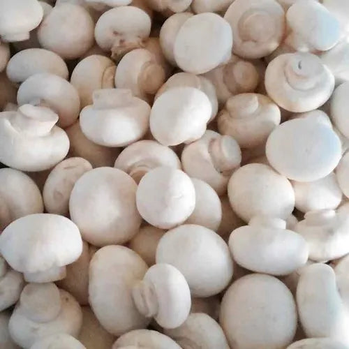 Mushroom Button White