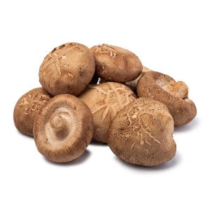 Mushroom Shiitake