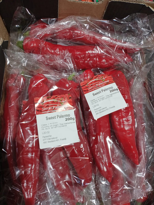 Capsicum Red Pointed