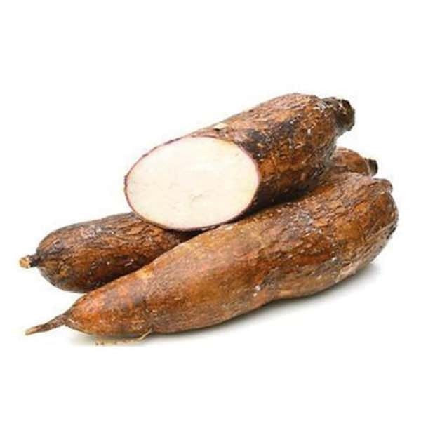 Tapioca / Cassava