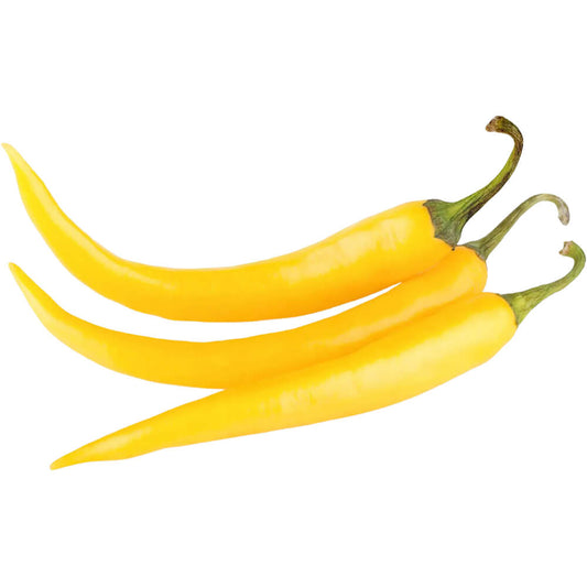 Chilli Yellow (Holland)