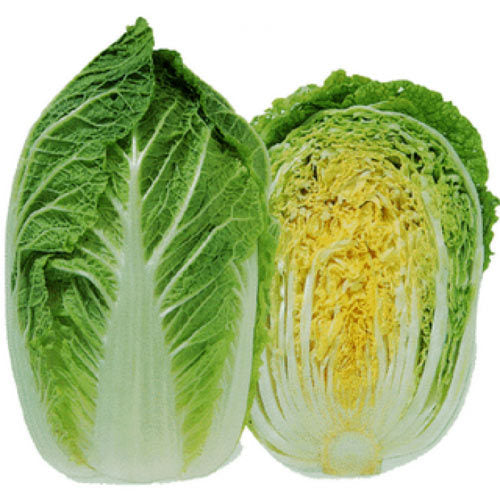 Cabbage Long Chines (WOMBOK)