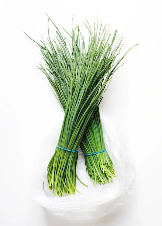 Herb Chive