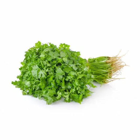 Herb Coriander (Chinese Parsley)