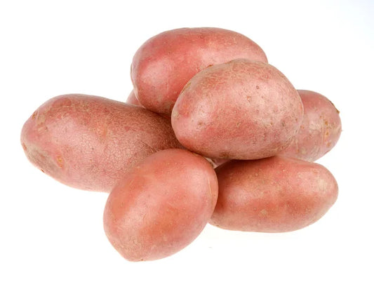 Potato Red Skin