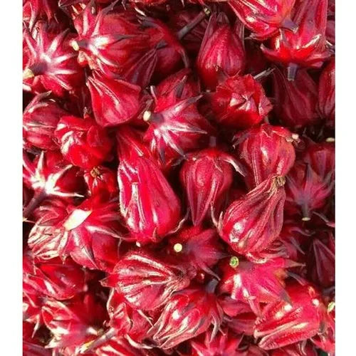 Roselle Flower / Fresh Hibiscus Flower