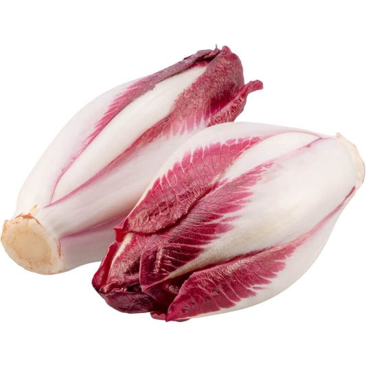Belgium Endive Red