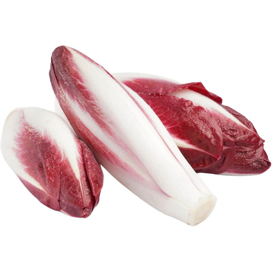 Belgium Endive Red