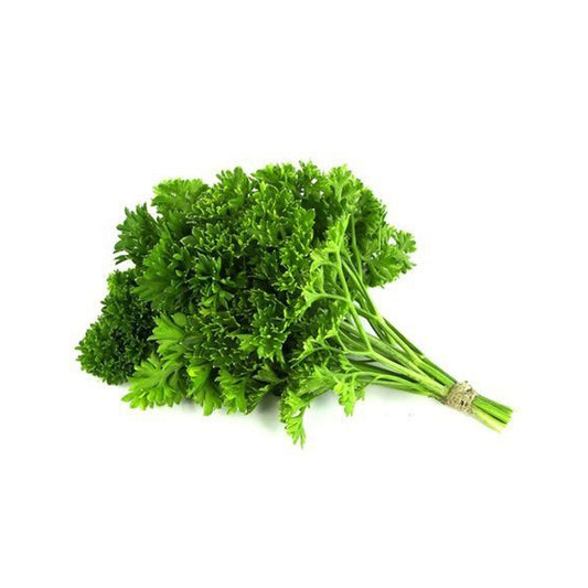 Herb English Parsley