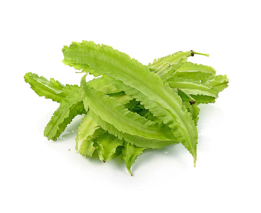 Wing Bean / Four-angled Bean