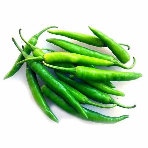 Chilli Padi Green