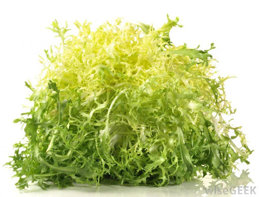 Lettuce Yellow Frisee