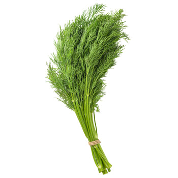 Herb Dill