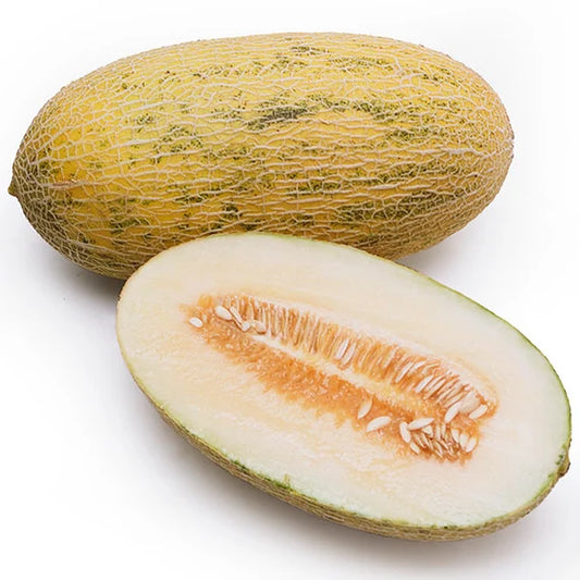 Hami melon