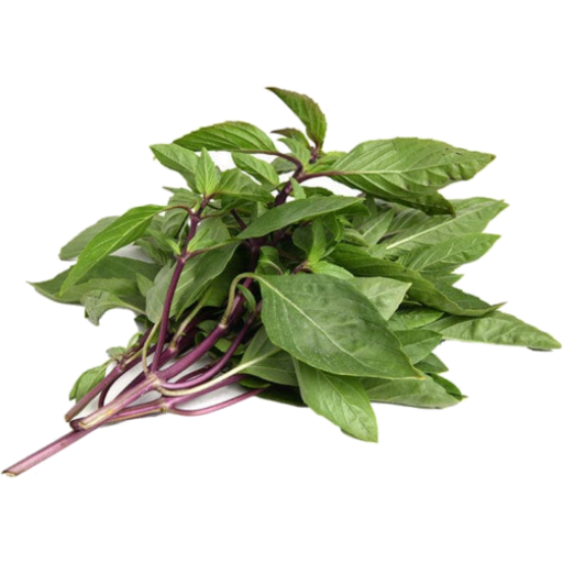 Herb Basil Thai Sweet