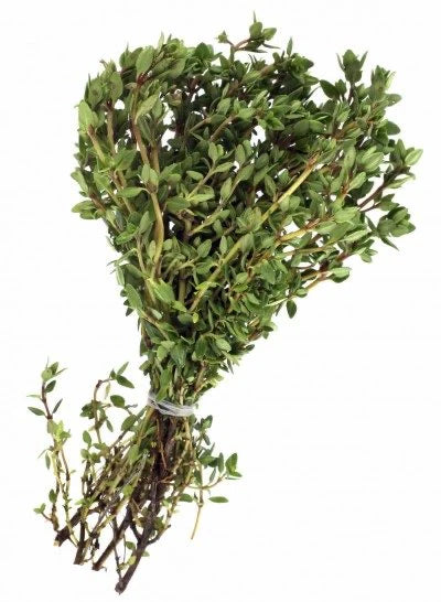 Herb Lemon Thyme