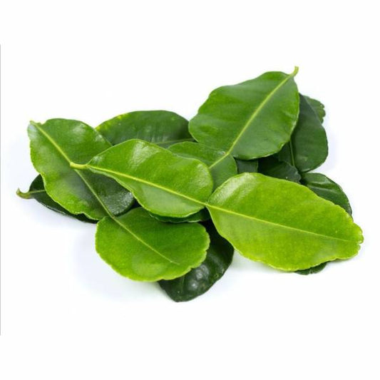 Lime Leaves / Kafir Lime Leaves