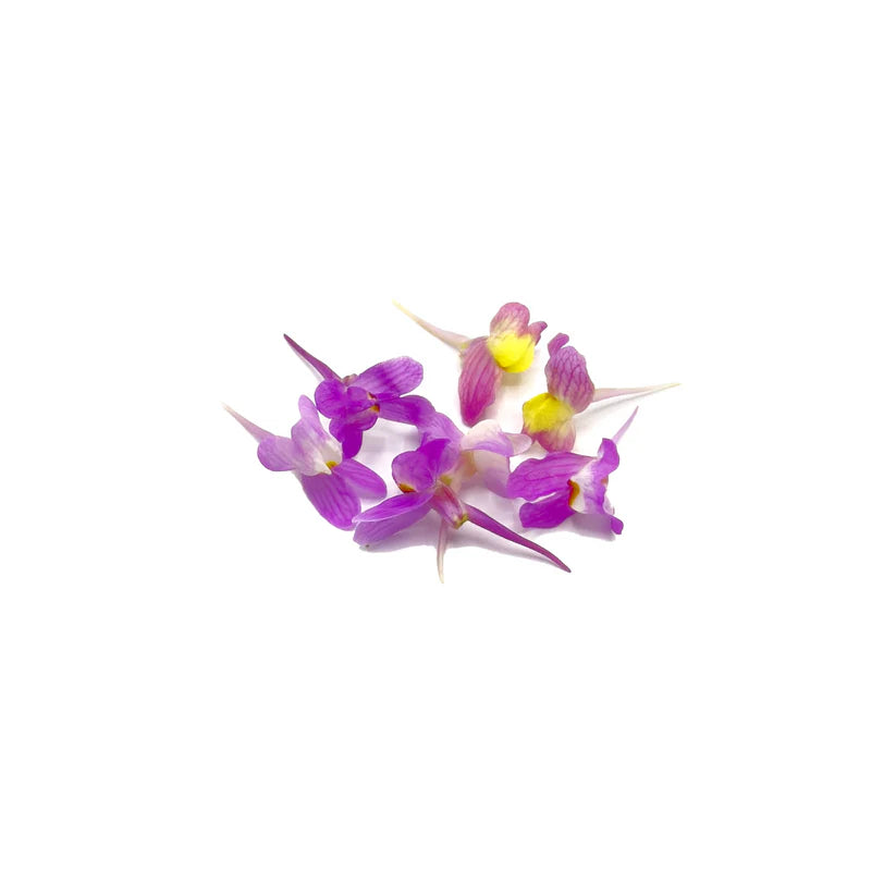 Edible Flowers - Linaria (Pink) (Nosh)